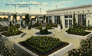 Venetian Roof Garden, H. C. Capwell Co., Oakland, California             